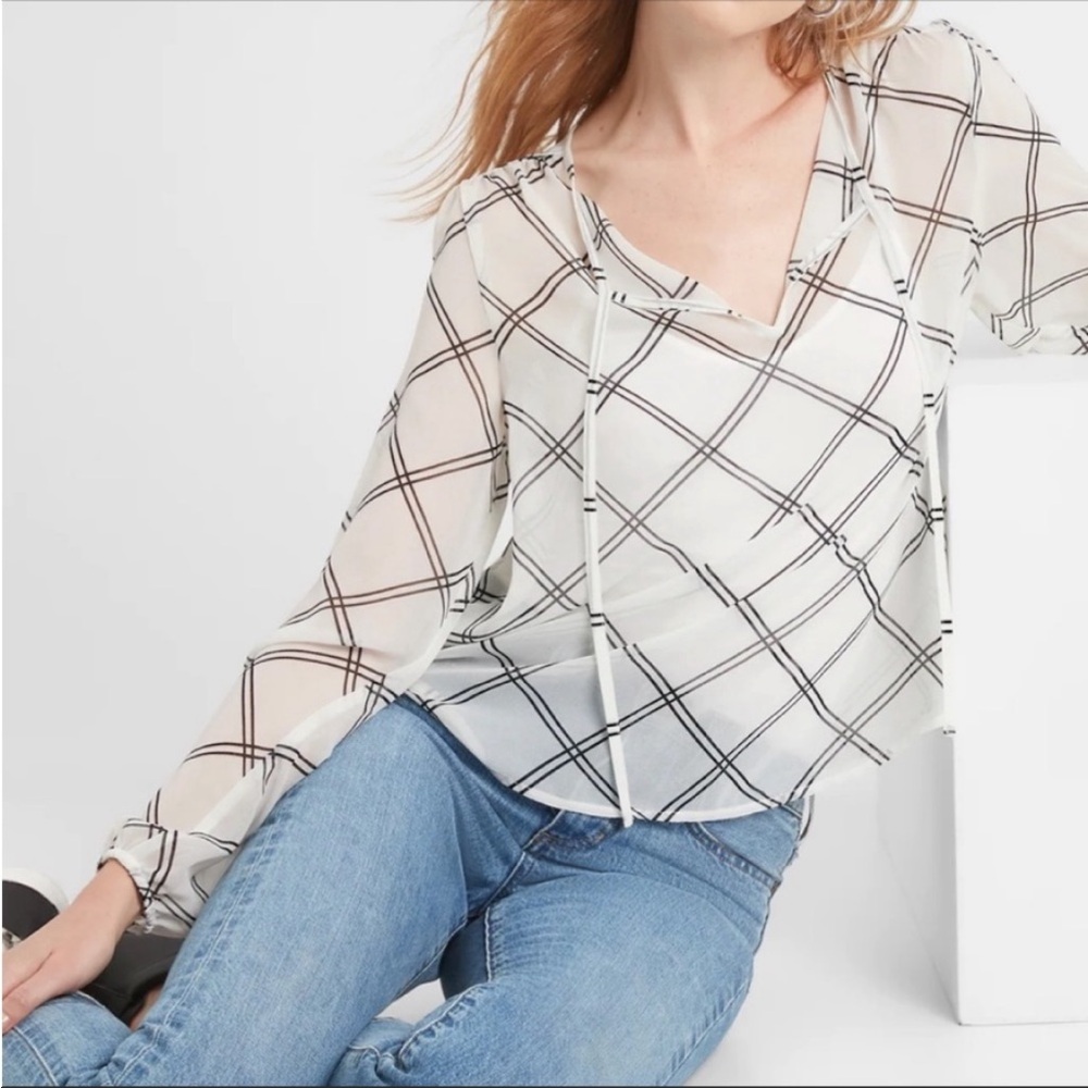 Banana Republic sheer top